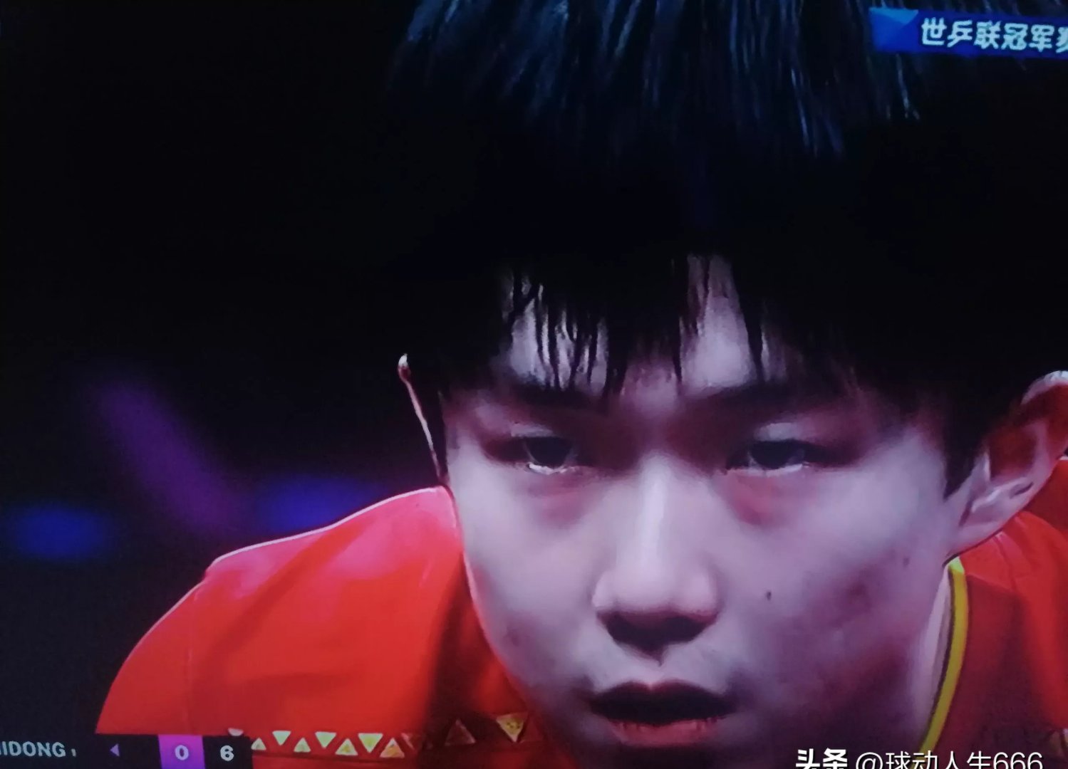莎拉波娃迎来三赛季出色发挥，篮网观众热烈欢呼！(莎拉波娃nba)