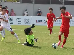 开云体育app -陇右黑豹队对阵海滨鲸鲨队，冰球季后赛失利，内线统治篮板——冲刺阶段不容有失(2024年nhl北美冰球职业联赛季后赛)