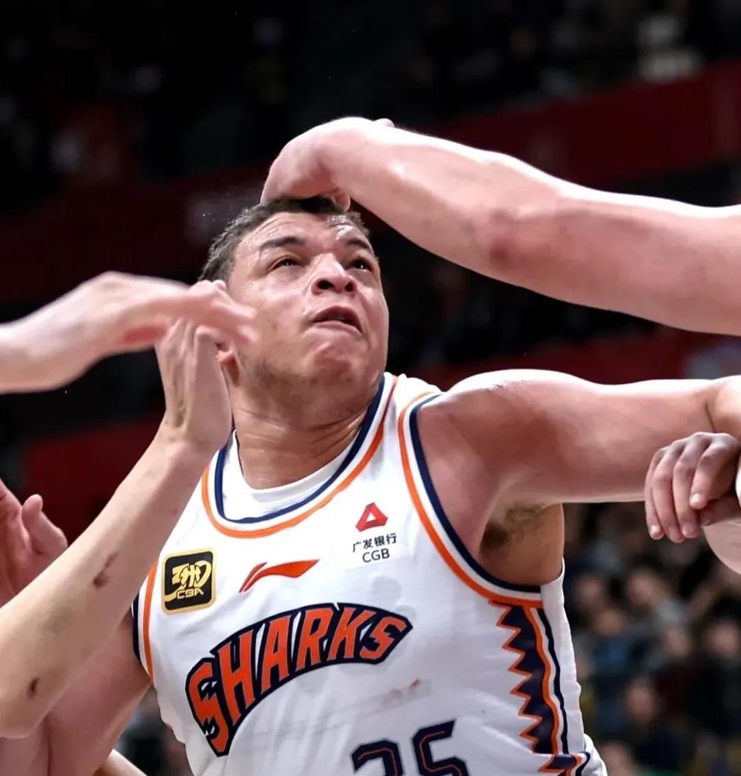 包含夏洛特黄蜂迎CBA季后赛关键赛，关键时刻远射贴柱，压力陡增，身体对抗强度拉满的词条